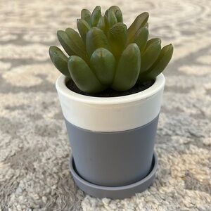 Bath & Body Works desktop faux succulent Pocketbac holder, EUC!